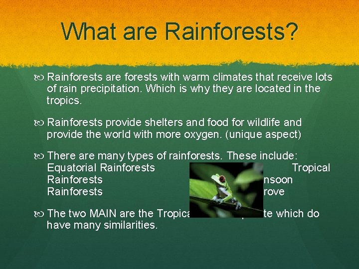 What are Rainforests? Rainforests are forests with warm climates that receive lots of rain