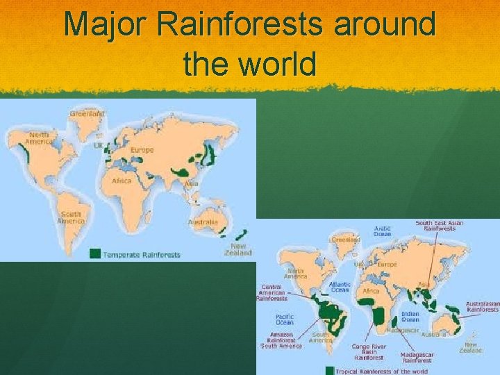 Major Rainforests around the world 