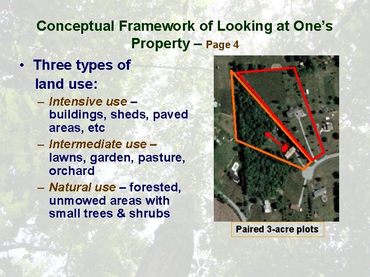Conceptual Framework of Looking at One’s Property – Page 4 • Three types of