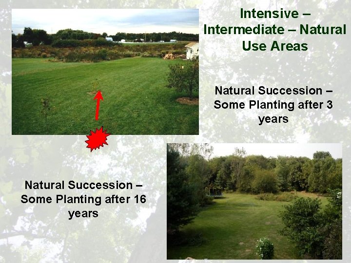 Intensive – Intermediate – Natural Use Areas Natural Succession – Some Planting after 3