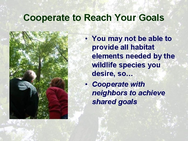 Cooperate to Reach Your Goals • You may not be able to provide all