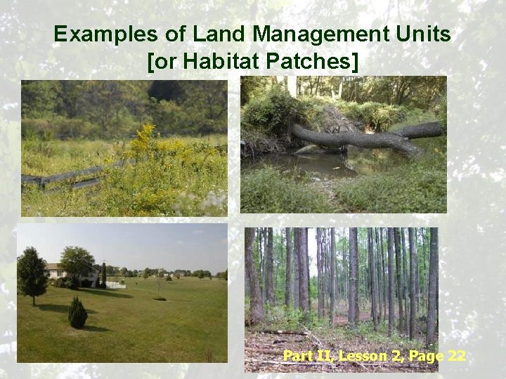 Examples of Land Management Units [or Habitat Patches] Part II, Lesson 2, Page 22