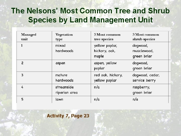 The Nelsons’ Most Common Tree and Shrub Species by Land Management Unit Activity 7,