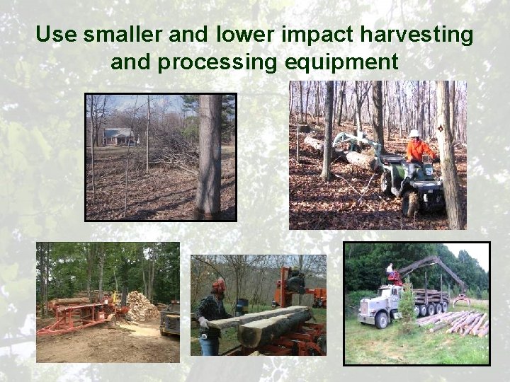 Use smaller and lower impact harvesting and processing equipment 