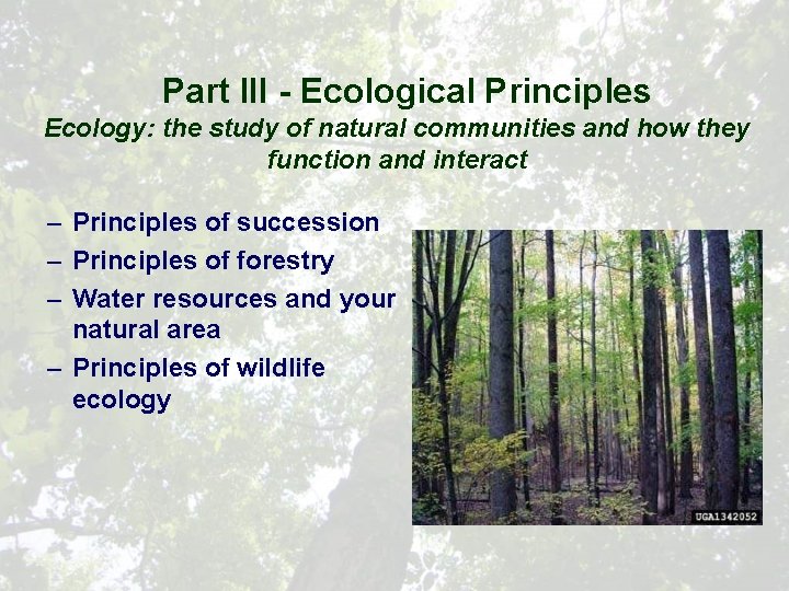 Part III - Ecological Principles Ecology: the study of natural communities and how they