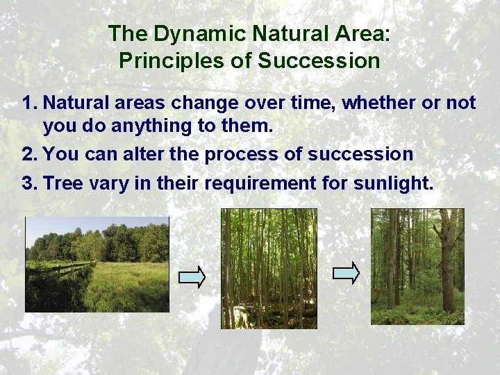 The Dynamic Natural Area: Principles of Succession 1. Natural areas change over time, whether