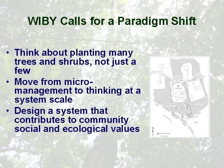 WIBY Calls for a Paradigm Shift • Think about planting many trees and shrubs,