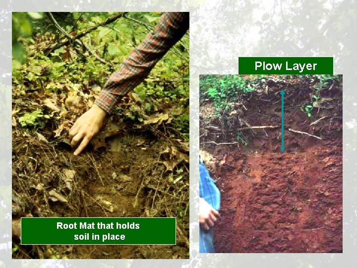 Plow Layer Root Mat that holds soil in place 