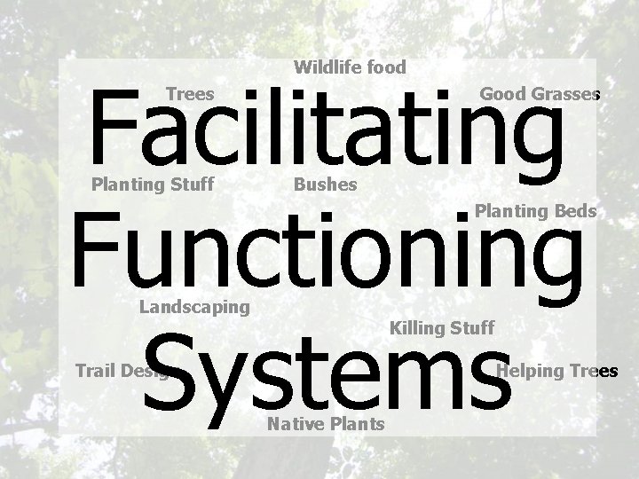 Wildlife food Facilitating Functioning Systems Trees Planting Stuff Good Grasses Bushes Planting Beds Landscaping