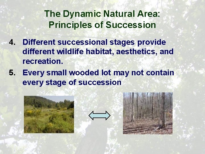 The Dynamic Natural Area: Principles of Succession 4. Different successional stages provide different wildlife