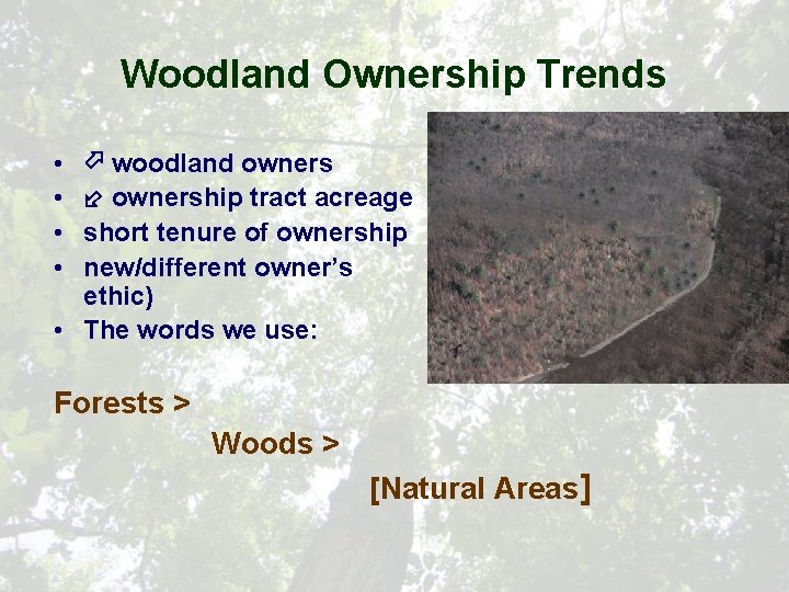 Woodland Ownership Trends • • woodland ownership tract acreage short tenure of ownership new/different
