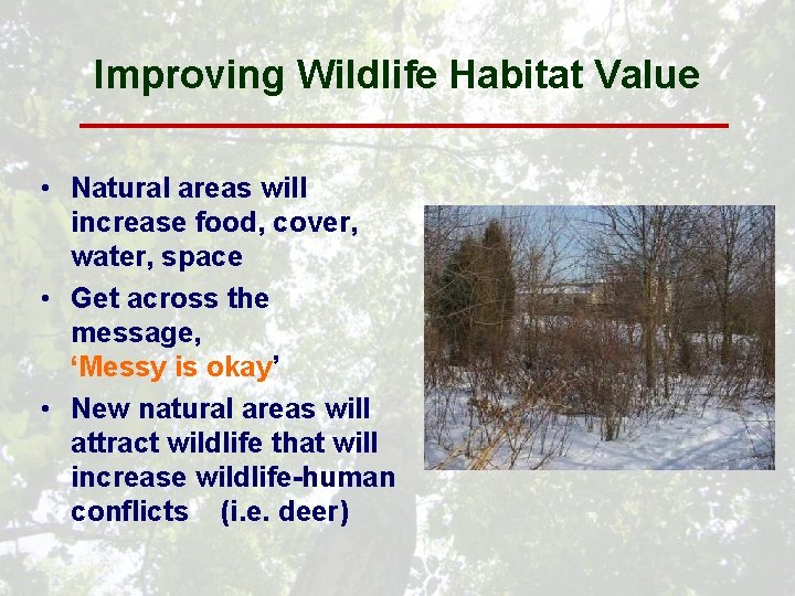 Improving Wildlife Habitat Value • Natural areas will increase food, cover, water, space •