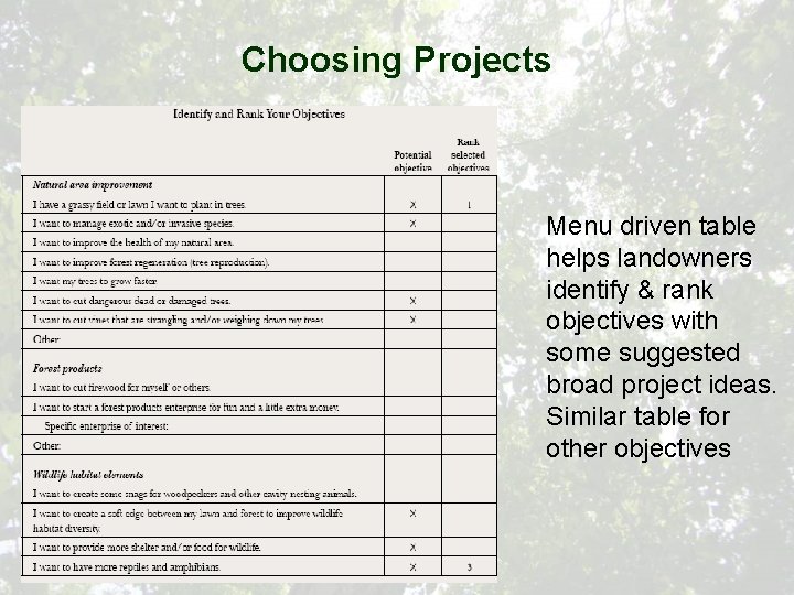 Choosing Projects Menu driven table helps landowners identify & rank objectives with some suggested