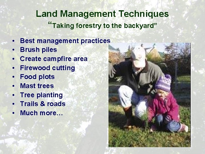 Land Management Techniques “Taking forestry to the backyard” • • • Best management practices