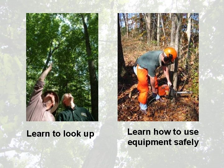 Learn to look up Learn how to use equipment safely 