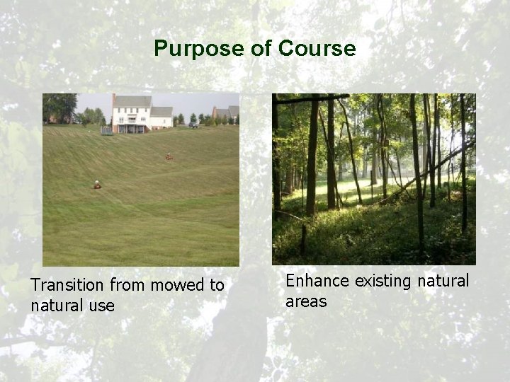Purpose of Course Transition from mowed to natural use Enhance existing natural areas 