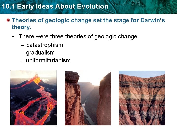 10. 1 Early Ideas About Evolution Theories of geologic change set the stage for