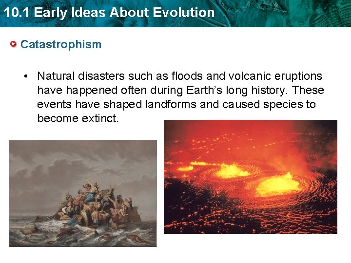 10. 1 Early Ideas About Evolution Catastrophism • Natural disasters such as floods and