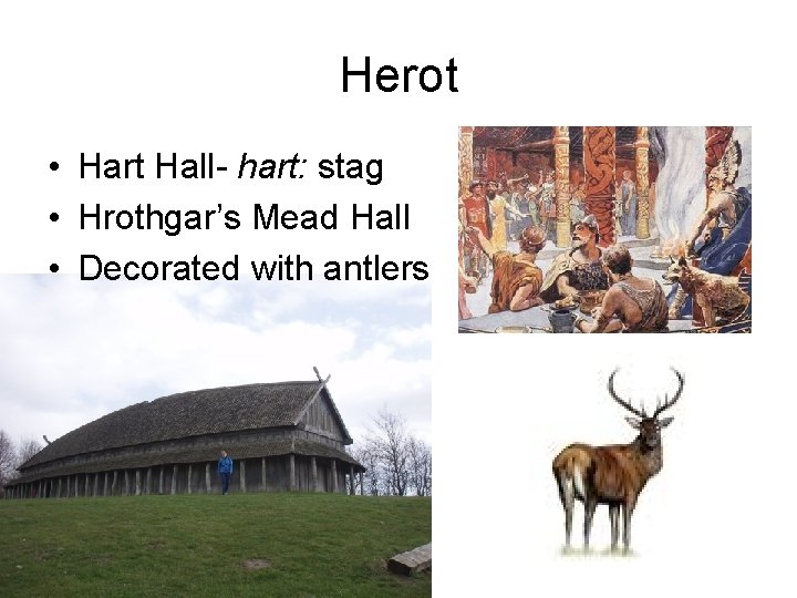 Herot • Hart Hall- hart: stag • Hrothgar’s Mead Hall • Decorated with antlers