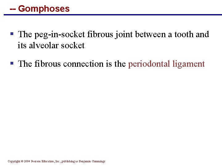 -- Gomphoses § The peg-in-socket fibrous joint between a tooth and its alveolar socket