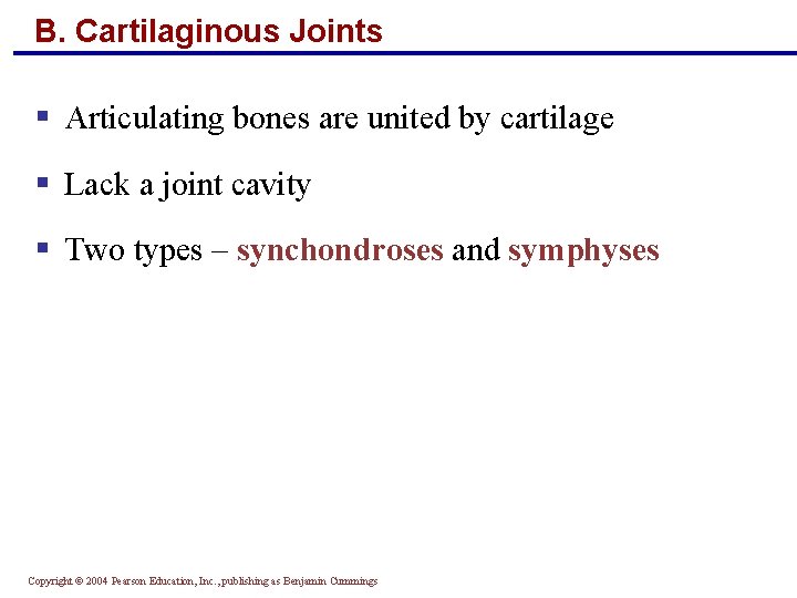 B. Cartilaginous Joints § Articulating bones are united by cartilage § Lack a joint