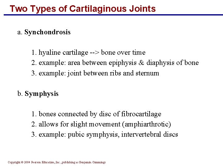 Two Types of Cartilaginous Joints a. Synchondrosis 1. hyaline cartilage --> bone over time