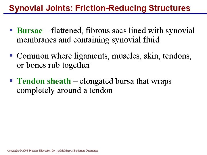 Synovial Joints: Friction-Reducing Structures § Bursae – flattened, fibrous sacs lined with synovial membranes