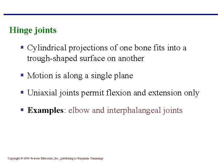 Hinge joints § Cylindrical projections of one bone fits into a trough-shaped surface on