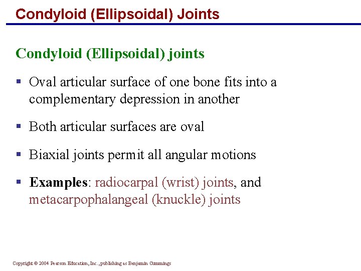 Condyloid (Ellipsoidal) Joints Condyloid (Ellipsoidal) joints § Oval articular surface of one bone fits