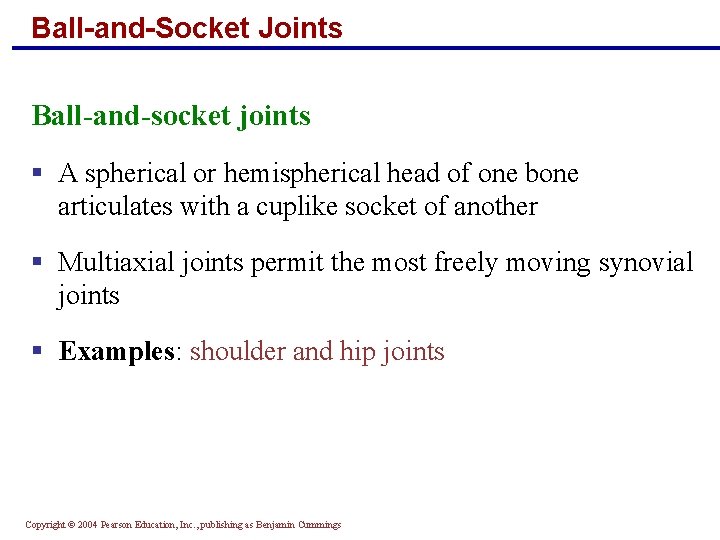 Ball-and-Socket Joints Ball-and-socket joints § A spherical or hemispherical head of one bone articulates