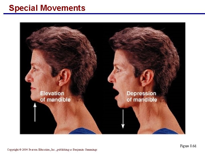 Special Movements Figure 8. 6 d Copyright © 2004 Pearson Education, Inc. , publishing