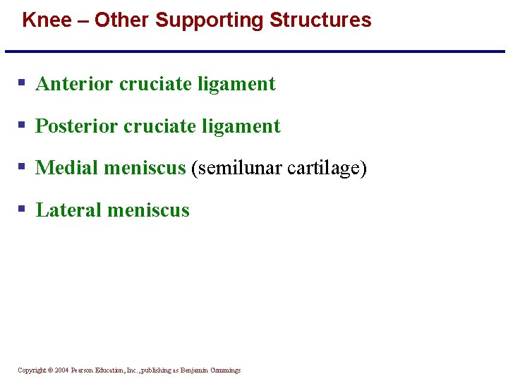 Knee – Other Supporting Structures § Anterior cruciate ligament § Posterior cruciate ligament §