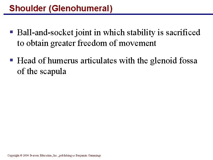 Shoulder (Glenohumeral) § Ball-and-socket joint in which stability is sacrificed to obtain greater freedom