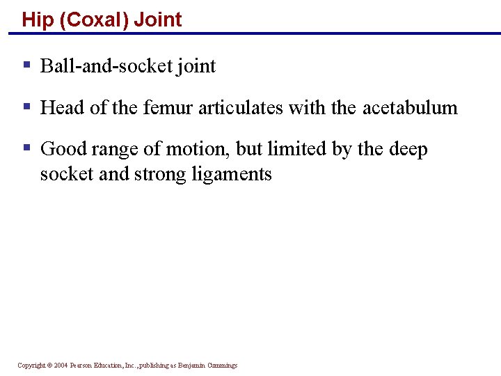 Hip (Coxal) Joint § Ball-and-socket joint § Head of the femur articulates with the