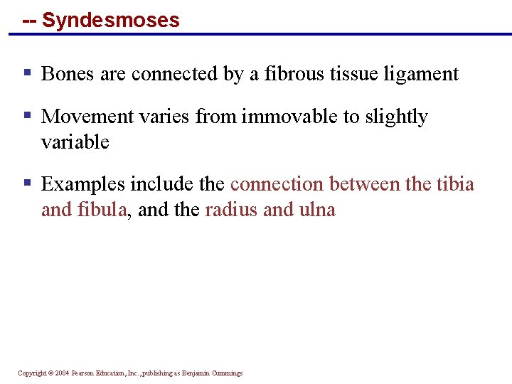 -- Syndesmoses § Bones are connected by a fibrous tissue ligament § Movement varies