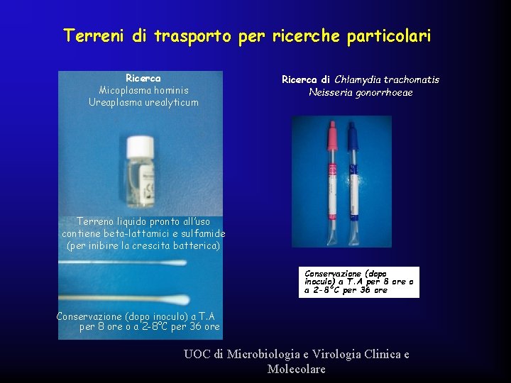 Terreni di trasporto per ricerche particolari Ricerca Micoplasma hominis Ureaplasma urealyticum Ricerca di Chlamydia