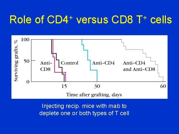 Role of CD 4+ versus CD 8 T+ cells Injecting recip. mice with mab