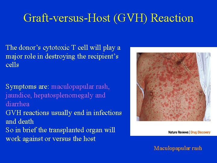 Graft-versus-Host (GVH) Reaction The donor’s cytotoxic T cell will play a major role in