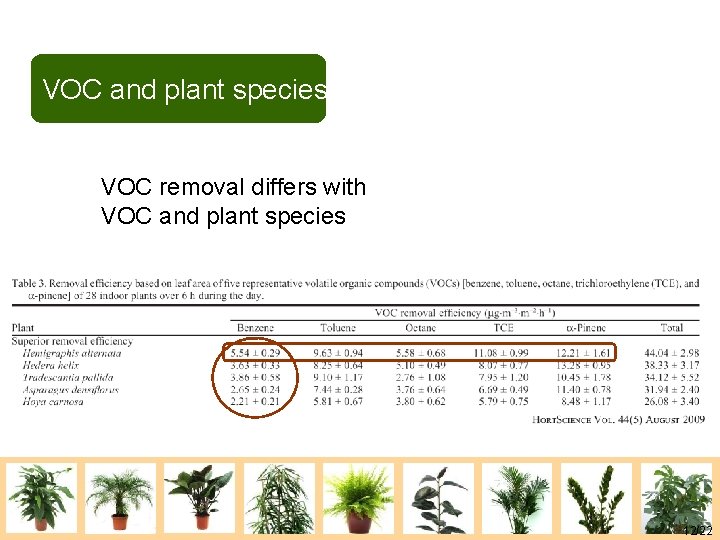 VOC and plant species VOC removal differs with VOC and plant species 12/22 