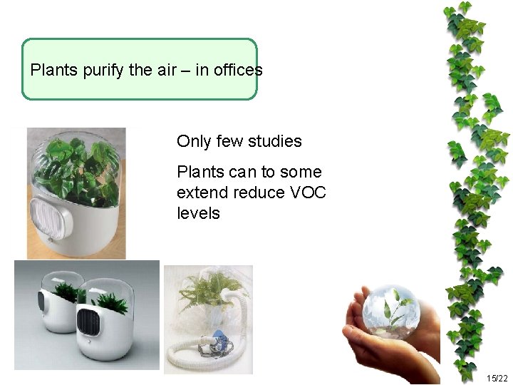 Plants purify the air – in offices Only few studies Plants can to some