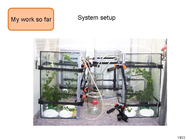 My work so far System setup 19/22 