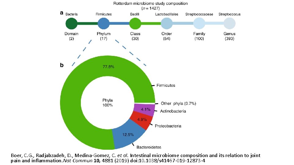 Boer, C. G. , Radjabzadeh, D. , Medina-Gomez, C. et al. Intestinal microbiome composition