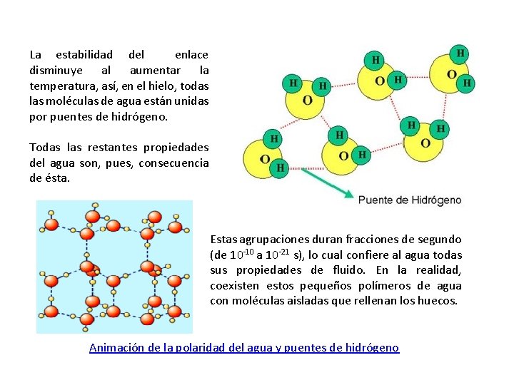 La estabilidad del enlace disminuye al aumentar la temperatura, así, en el hielo, todas La estabilidad del enlace disminuye al aumentar la temperatura, así, en el hielo, todas