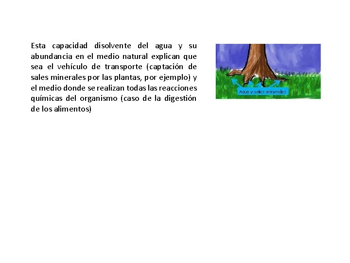 Esta capacidad disolvente del agua y su abundancia en el medio natural explican que Esta capacidad disolvente del agua y su abundancia en el medio natural explican que