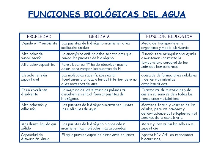 FUNCIONES BIOLÓGICAS DEL AGUA PROPIEDAD DEBIDA A FUNCIÓN BIOLÓGICA Líquida a Tª ambiente Los FUNCIONES BIOLÓGICAS DEL AGUA PROPIEDAD DEBIDA A FUNCIÓN BIOLÓGICA Líquida a Tª ambiente Los