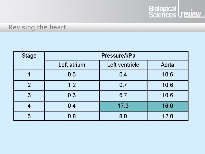 Revising the heart Stage Pressure/k. Pa Left atrium Left ventricle Aorta 1 0. 5