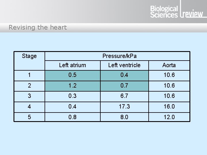 Revising the heart Stage Pressure/k. Pa Left atrium Left ventricle Aorta 1 0. 5