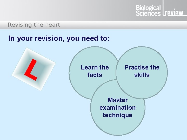 Revising the heart In your revision, you need to: L Learn the facts Practise