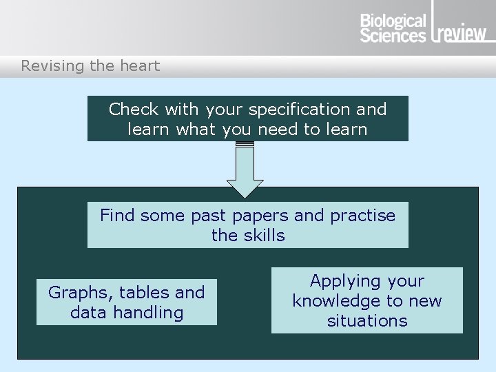 Revising the heart Check with your specification and learn what you need to learn