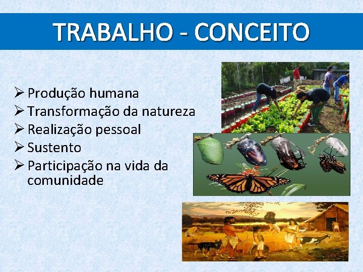 Trabalho e Consumo Trabalho e Consumo Trabalhar e